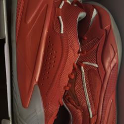 Dreamer Pumas Size 13