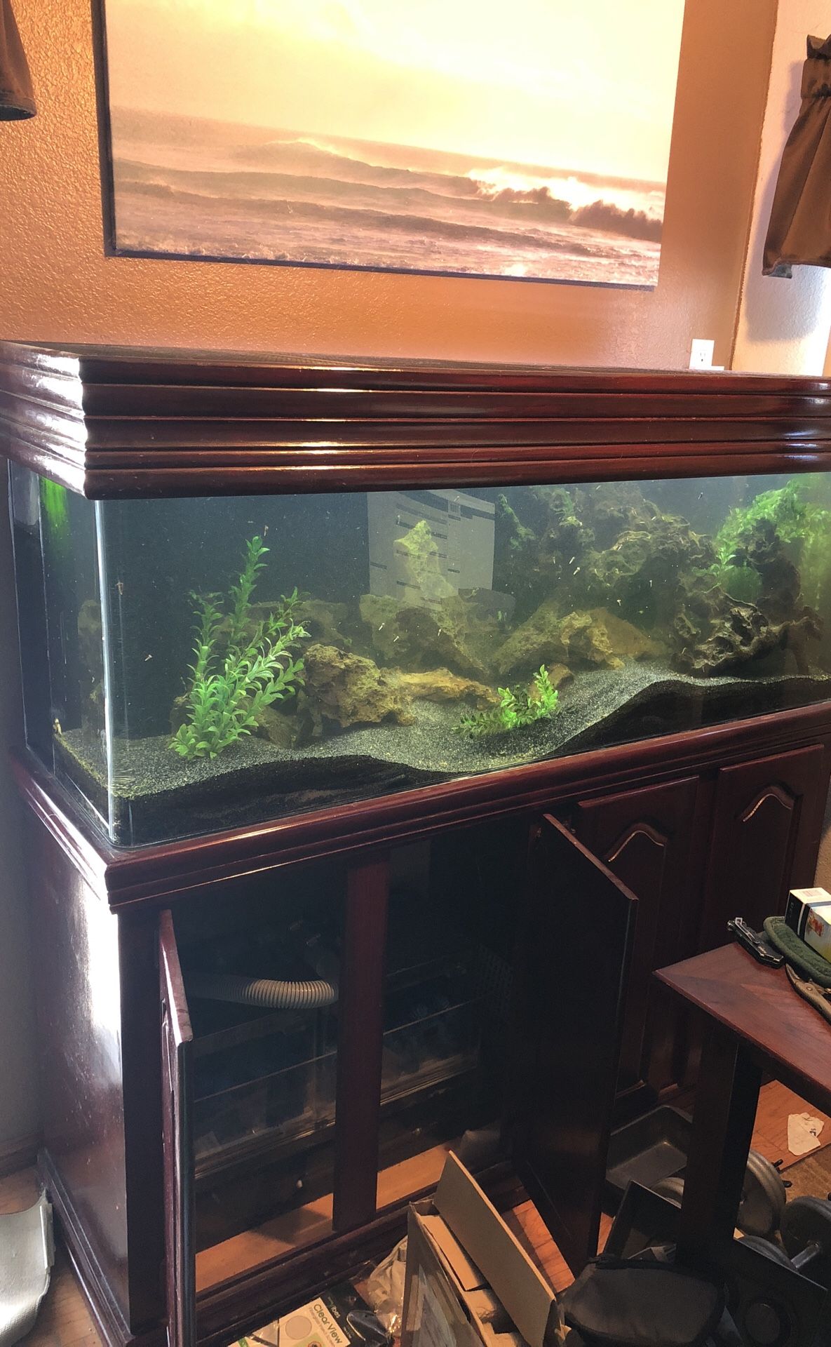 100 gallon TruVu Aquarium Fish Tank Acrylic Sump Corner Overflow