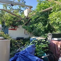 Bucket Truck  F450 For Sale
