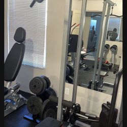 Lat / Tricep Pull Down 