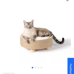 Cat Bed