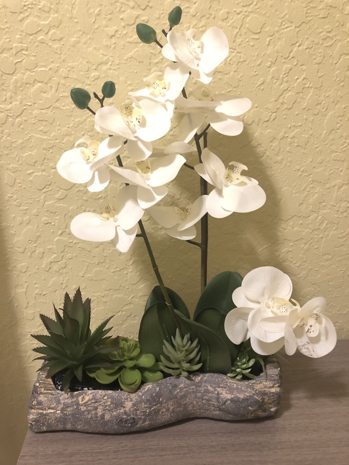 Decorative Cactus Plant Flower on Rock Tray