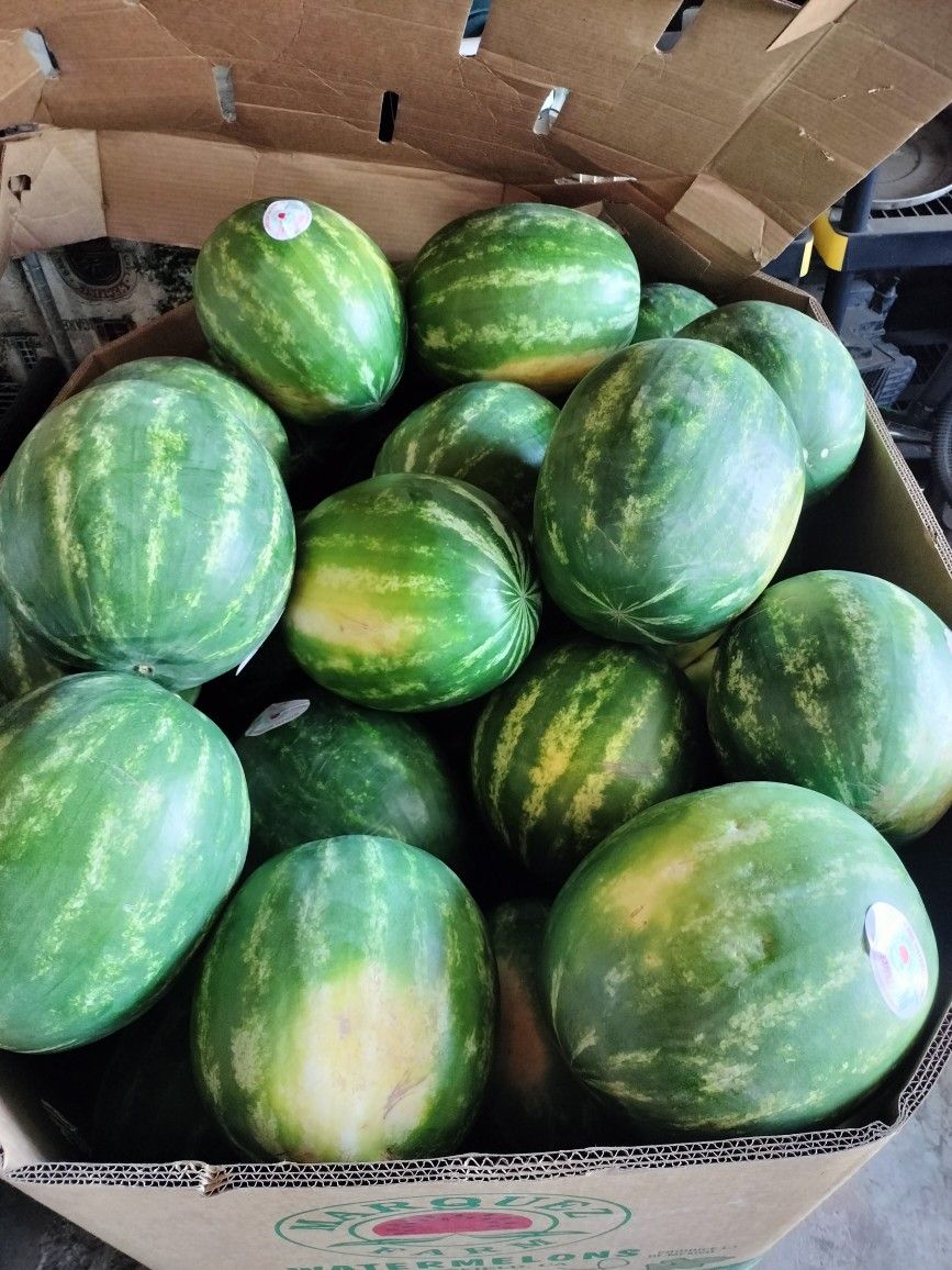 Sandias Recien Cortadas
