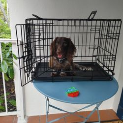 Dog Or cat Crate Small