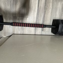 Curl Bar And Weights 