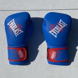 Everlast Prospect Youth 8oz Boxing Gloves