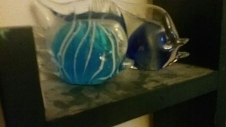 Glass fish
