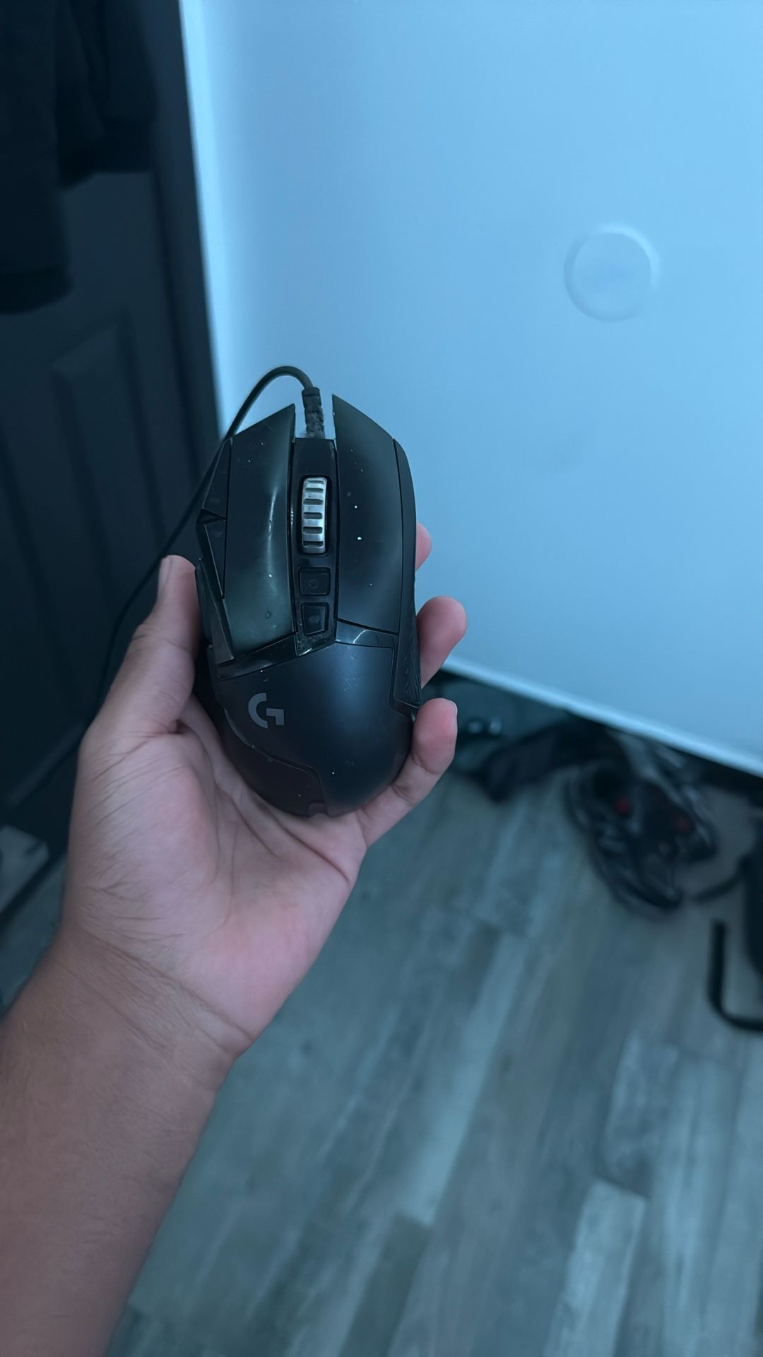mouse