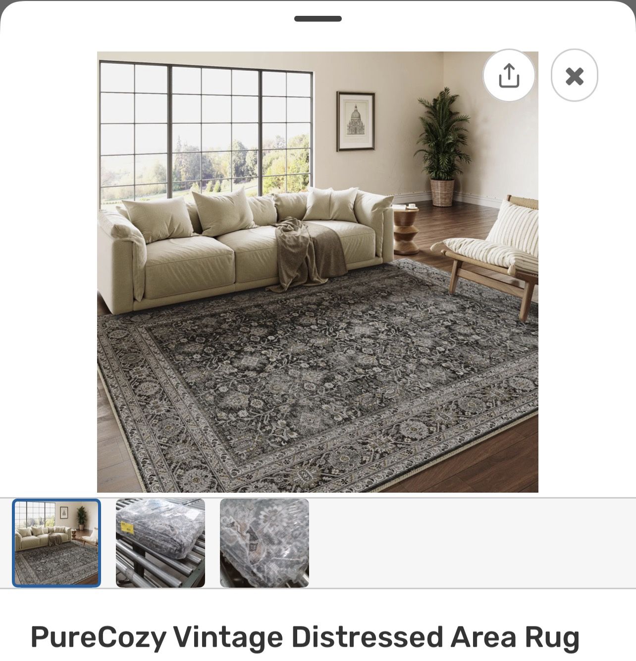 Pure Cozy Vintage Area Rug