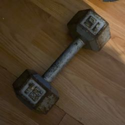 single 15lb dumbbell 
