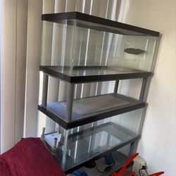 Two tanks for reptiles I don’t really know the name though