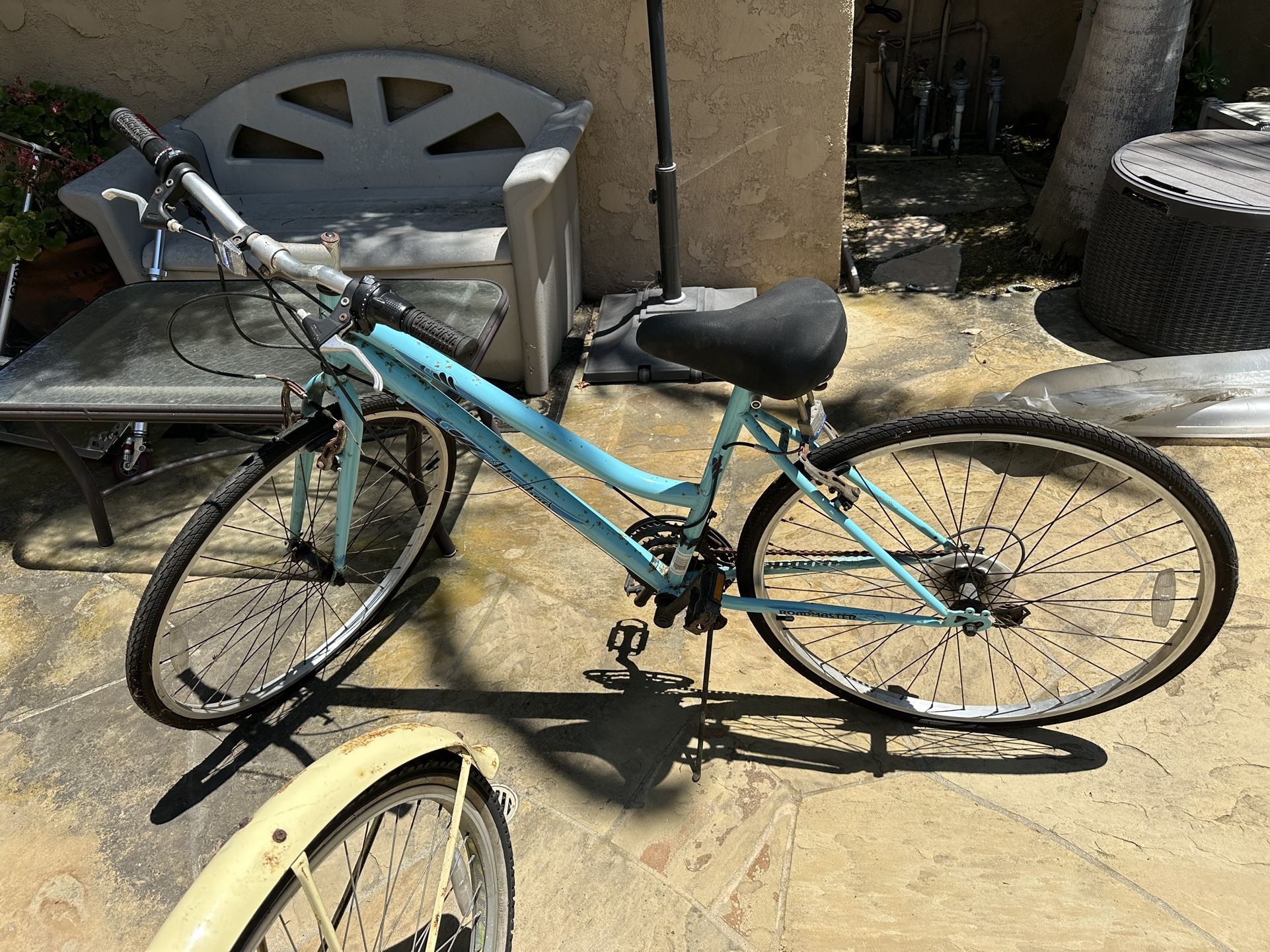 Used 10-Speed Bicycle Bike $15