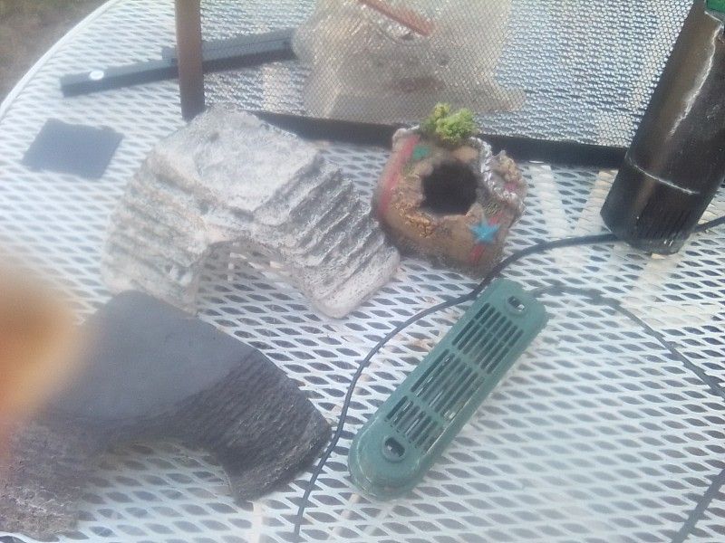 Items For Reptile Cage