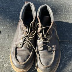 Red Wings Irish Setters