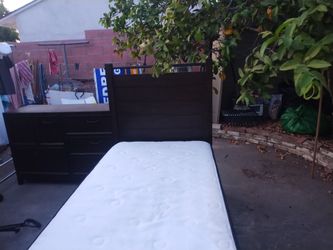 Cama
