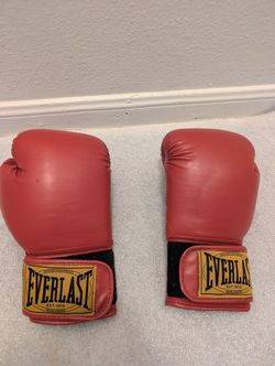 Ever Last Boxing Gloves Small Size