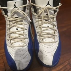 jordan 12