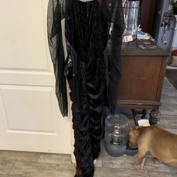 Halloween costumes different sizes different prices dog costumes also