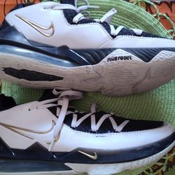 Previously Owned LeBron Shoes