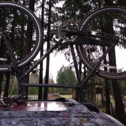 Janis Beatnik Bicycle 150$ 