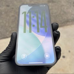Apple  iPhone 13