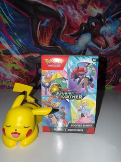 POKEMON JOURNEY TOGETHER BB