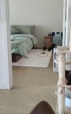 Floating Queen Bedframe