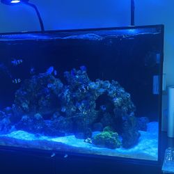 Waterbox 90.3 With Sump Complete System