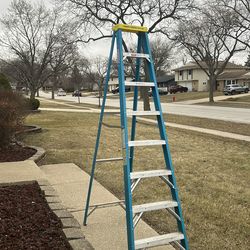 10 ft ladder