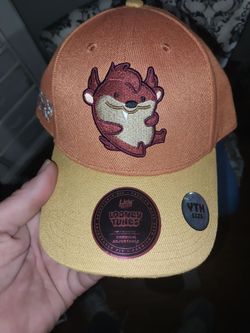 (NWT)Youth Looney Tunes Taz ball cap