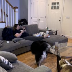 Sectional couch with storage and pullout bed