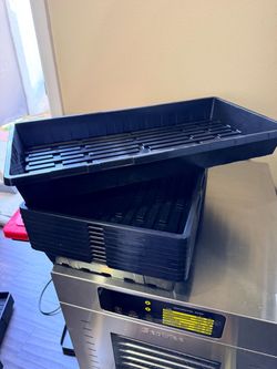 Micro Green Trays