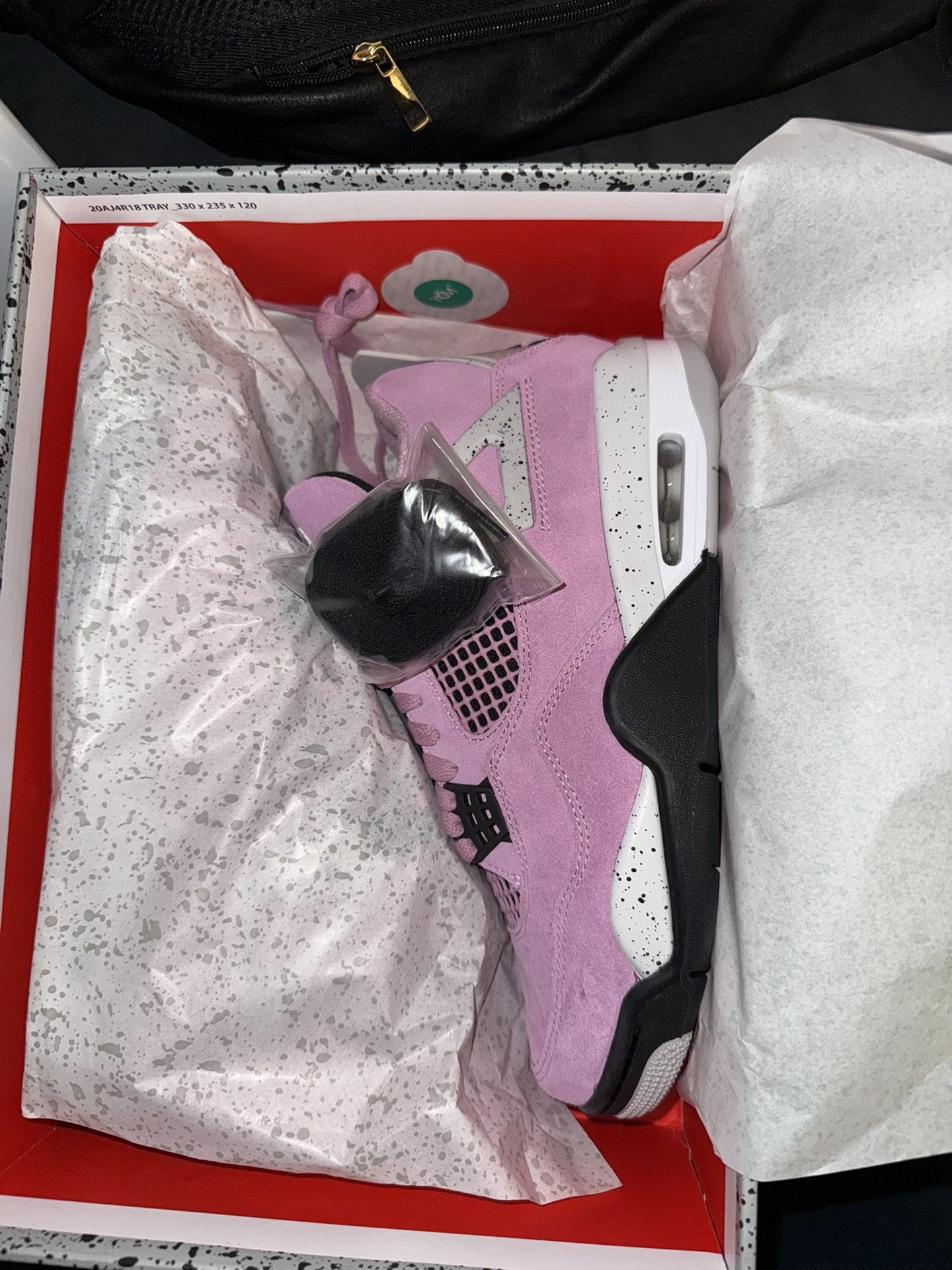 Jordan 4 Retro Orchid Women’s 
