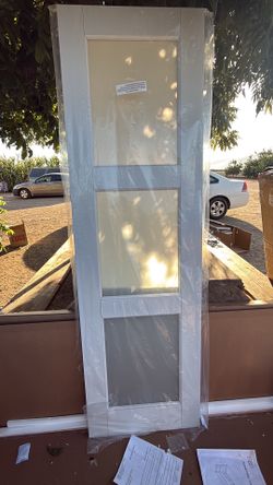 Door 24x80