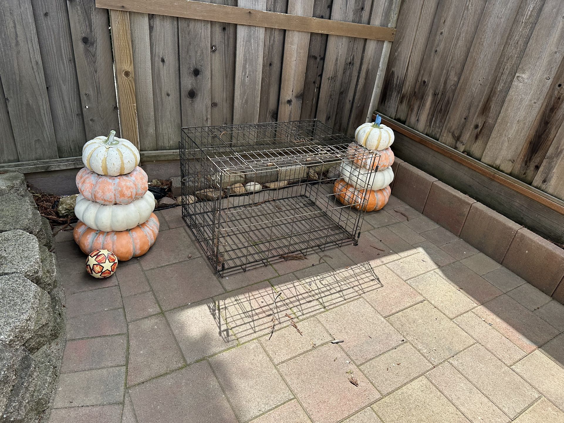 Dog Crate