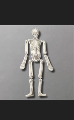 John Derian Skeleton   John Derian Skeleton Pillow