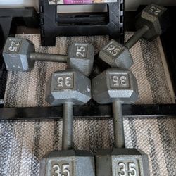 Pair Of 25lb And 35lb Dumbbell