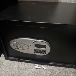 Floor/wall safe