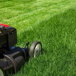 Anyone Need Lawn care ? 