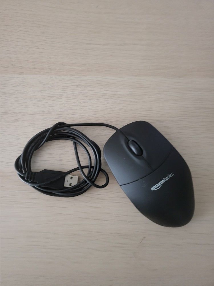 Computer Mouse