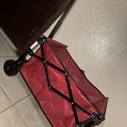 Folding Wagon 