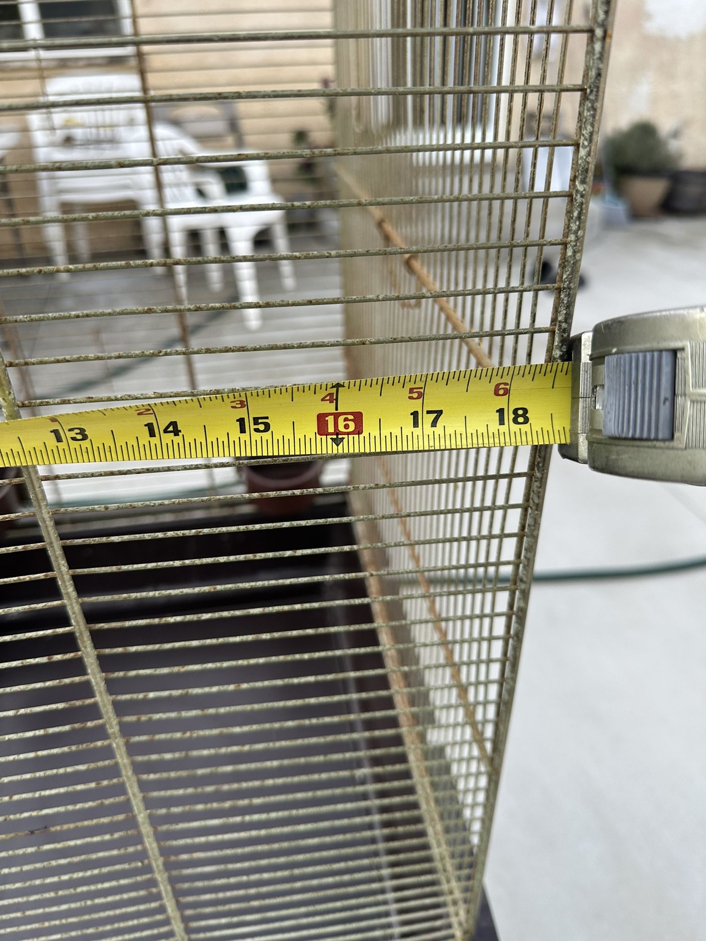 Bird Cage