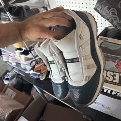 Jordan 11 snake skins