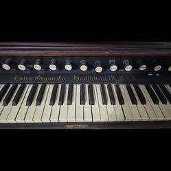 Organ