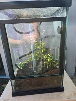 Reptile  Tank