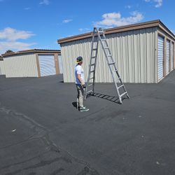Little Giant Ladder 