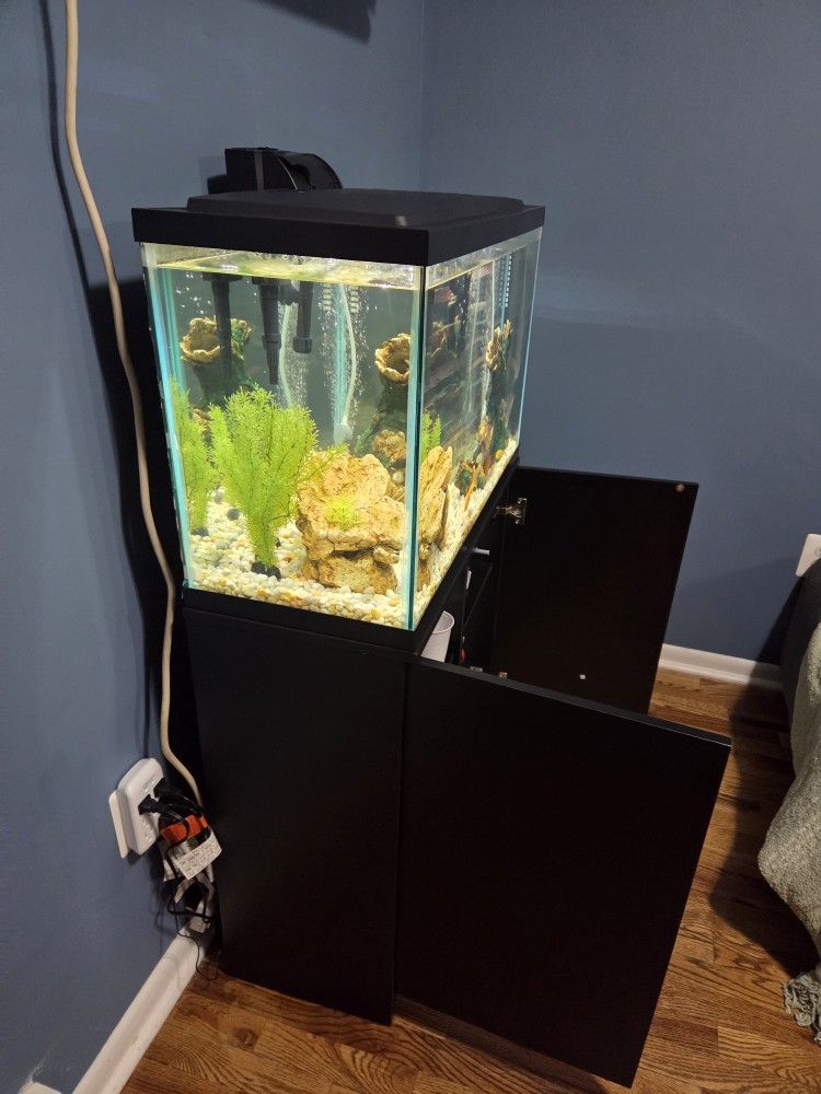 FISH TANK