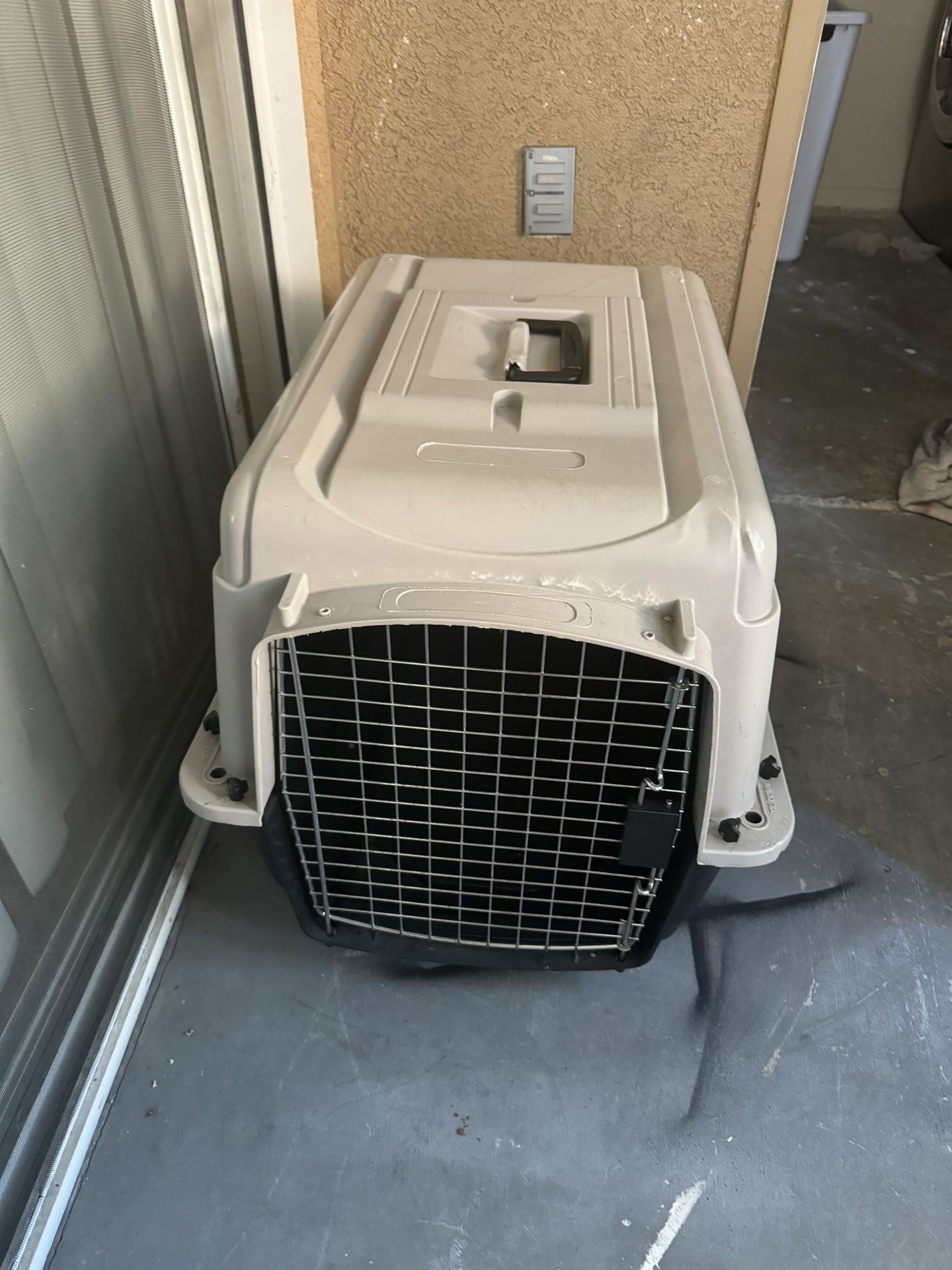 Dog House
