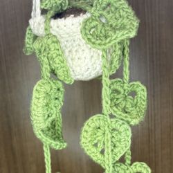Crochet Hanging Plant 