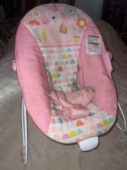 Bright Starts Baby Bouncer Soothing Vibrations Infant Seat